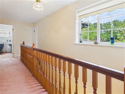 Picture 20